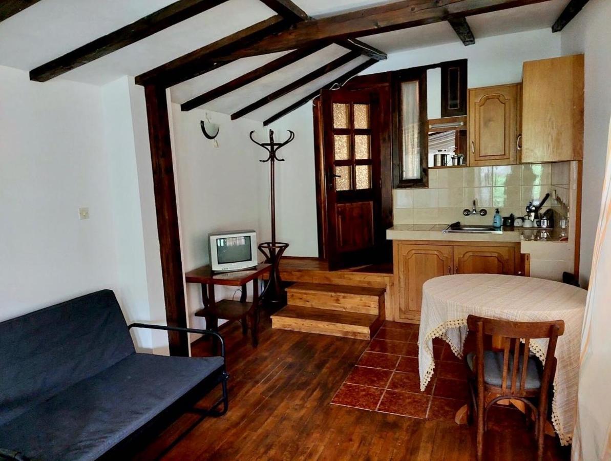 Luylyana Guesthouse Ribarica Esterno foto