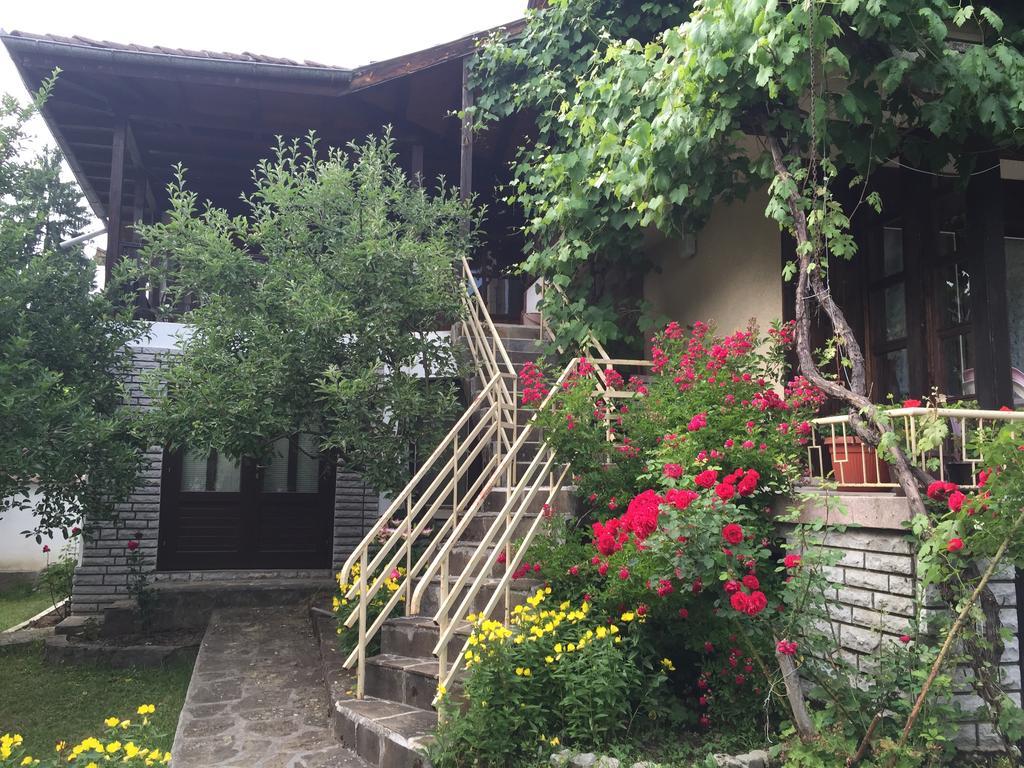 Luylyana Guesthouse Ribarica Esterno foto