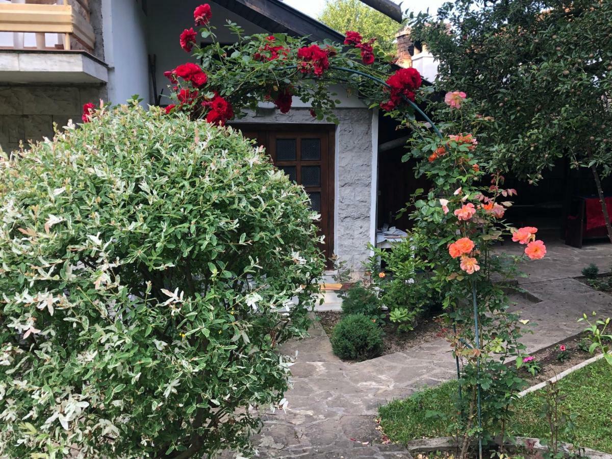 Luylyana Guesthouse Ribarica Esterno foto