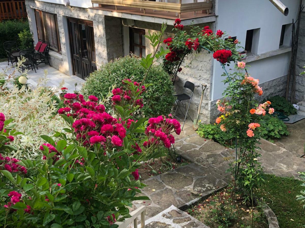 Luylyana Guesthouse Ribarica Esterno foto
