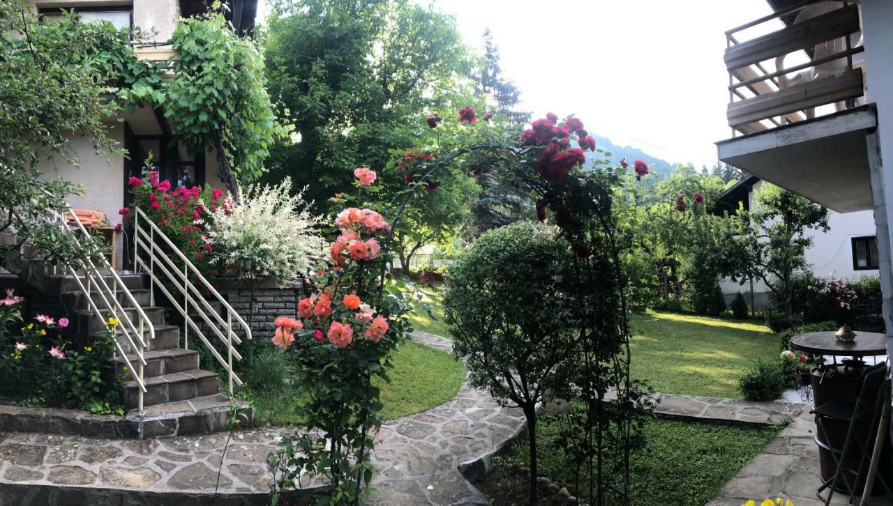 Luylyana Guesthouse Ribarica Esterno foto