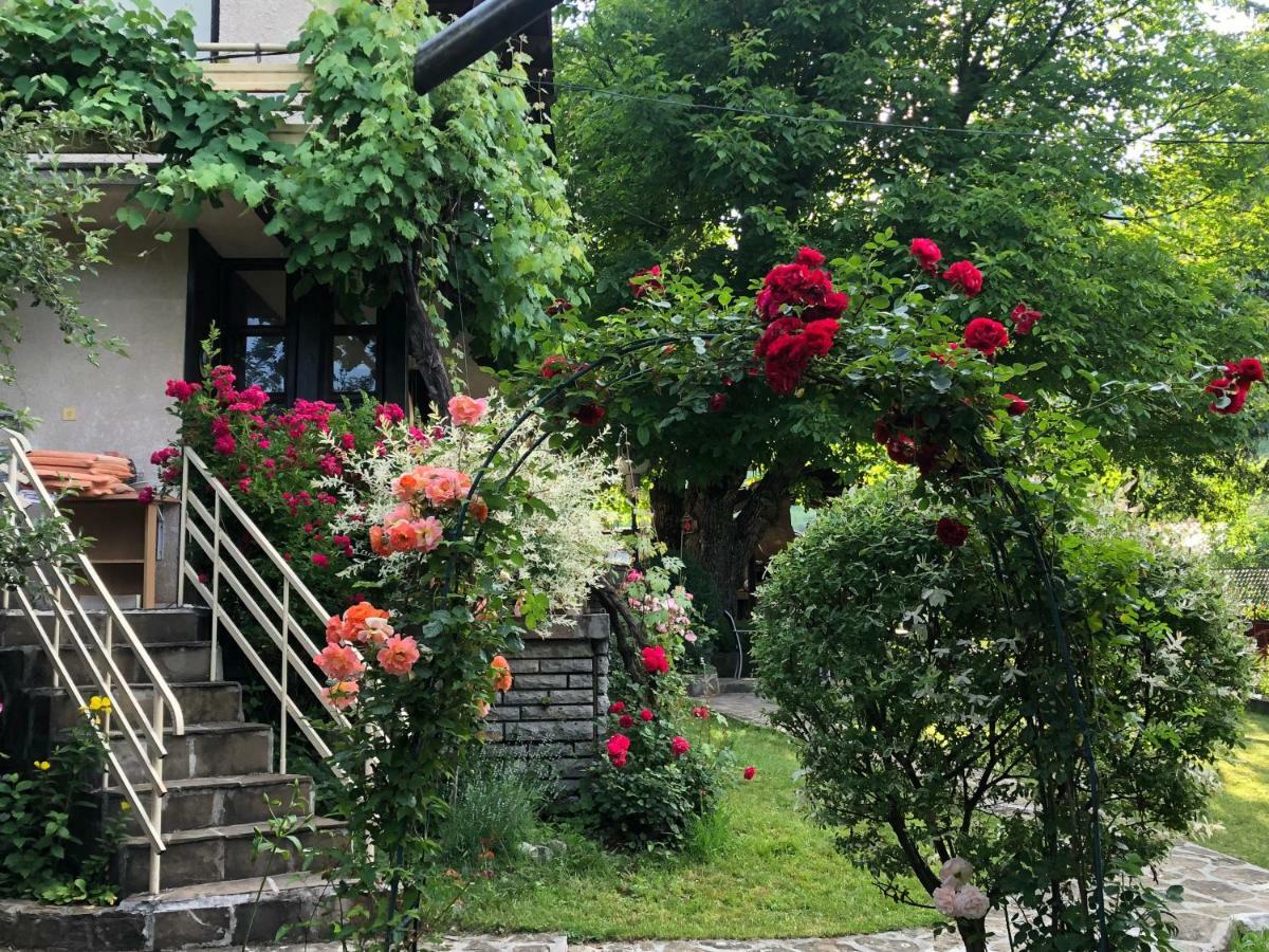 Luylyana Guesthouse Ribarica Esterno foto
